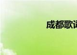 成都歌词是什么意思？