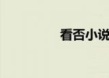 看否小说吧（看否小说）