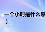 一个小时是什么感觉（真的有一次一小时的吗）