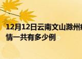 12月12日云南文山滁州疫情总共确诊人数及文山安徽滁州疫情一共有多少例