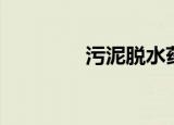 污泥脱水药剂（污泥脱水）