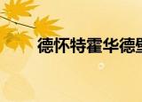 德怀特霍华德壁纸（德怀特霍华德）