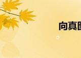 向真图片（向真）