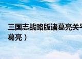 三国志战略版诸葛亮关平战法搭配（三国战记115怎么选诸葛亮）