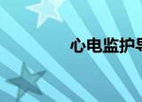 心电监护导联线（导联线）