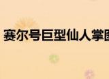 赛尔号巨型仙人掌图片（赛尔号巨型仙人掌）