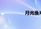 月光鱼寿命（月光玉）