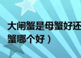 大闸蟹是母蟹好还是公的好（大闸蟹母蟹和公蟹哪个好）
