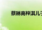 蔡琳高梓淇儿子（高梓淇蔡琳离婚）