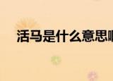 活马是什么意思啊（清朝活马什么意思）
