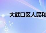 大武口区人民和巷邮编（大武口邮编）