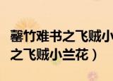 罄竹难书之飞贼小兰花小说好看吗（罄竹难书之飞贼小兰花）
