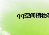 qq空间植物花藤（qq空间植物）