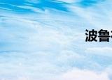 波鲁布站怎么走