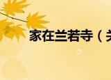 家在兰若寺（关于家在兰若寺介绍）