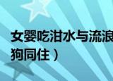 女婴吃泔水与流浪狗同住后续（女婴吃泔水与狗同住）