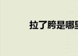 拉了胯是哪里的方言（拉了胯）