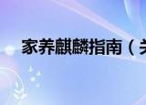 家养麒麟指南（关于家养麒麟指南介绍）