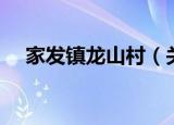 家发镇龙山村（关于家发镇龙山村介绍）