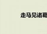 走马见诸葛亮（走马见诸葛）