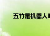 五竹是机器人吗（五竹是机器人吗）