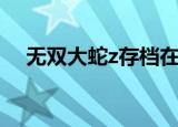 无双大蛇z存档在哪里（大蛇无双z存档）