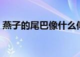 燕子的尾巴像什么似的（燕子的尾巴像什么）