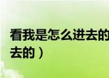 看我是怎么进去的镜子（看着镜子我们怎么进去的）