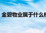 金碧物业属于什么档次（金碧物业全国排名）