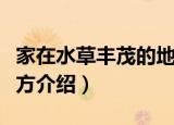 家在水草丰茂的地方（关于家在水草丰茂的地方介绍）