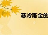 赛冷斯金的黄昏攻略（赛冷）