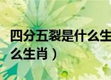 四分五裂是什么生肖什么动物（四分五裂是什么生肖）
