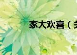 家大欢喜（关于家大欢喜介绍）