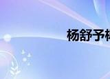 杨舒予杨紫（杨舒童）
