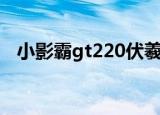 小影霸gt220伏羲版评测（小影霸gt220）