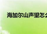 海加尔山声望怎么开启（海加尔山声望）