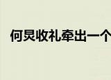 何炅收礼牵出一个巨大产业链（何炅博客）