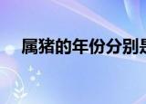属猪的年份分别是哪些年（属猪的年份）