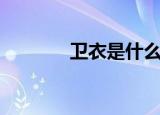 卫衣是什么梗（卫衣是什么）