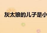 灰太狼的儿子是小灰灰吗（灰太狼的儿子）