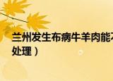 兰州发生布病牛羊肉能不能吃（兰州布病事件8名责任人被处理）