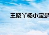 王晓丫杨小宝是什么电视剧（王晓丫）