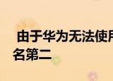  由于华为无法使用顶级视频共享服务 因此排名第二