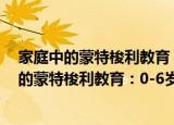 家庭中的蒙特梭利教育：0-6岁儿童个性培养（关于家庭中的蒙特梭利教育：0-6岁儿童个性培养介绍）