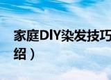 家庭DlY染发技巧（关于家庭DlY染发技巧介绍）
