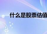 什么是股票估值（什么是股票型基金）
