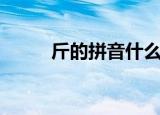 斤的拼音什么（斤的拼音和组词）