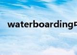 waterboarding中文（waterboarding）