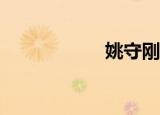 姚守刚被处理了吗？