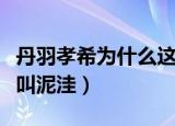 丹羽孝希为什么这么受欢迎（丹羽孝希为什么叫泥洼）